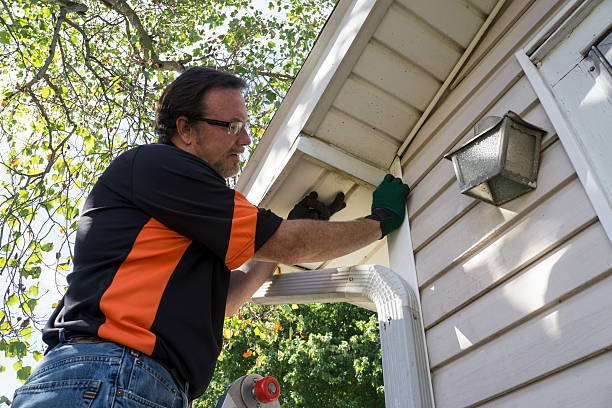 Best Siding Maintenance  in Mitchell, IN